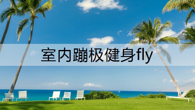 室内蹦极健身fly