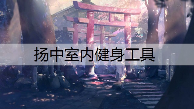 扬中室内健身工具